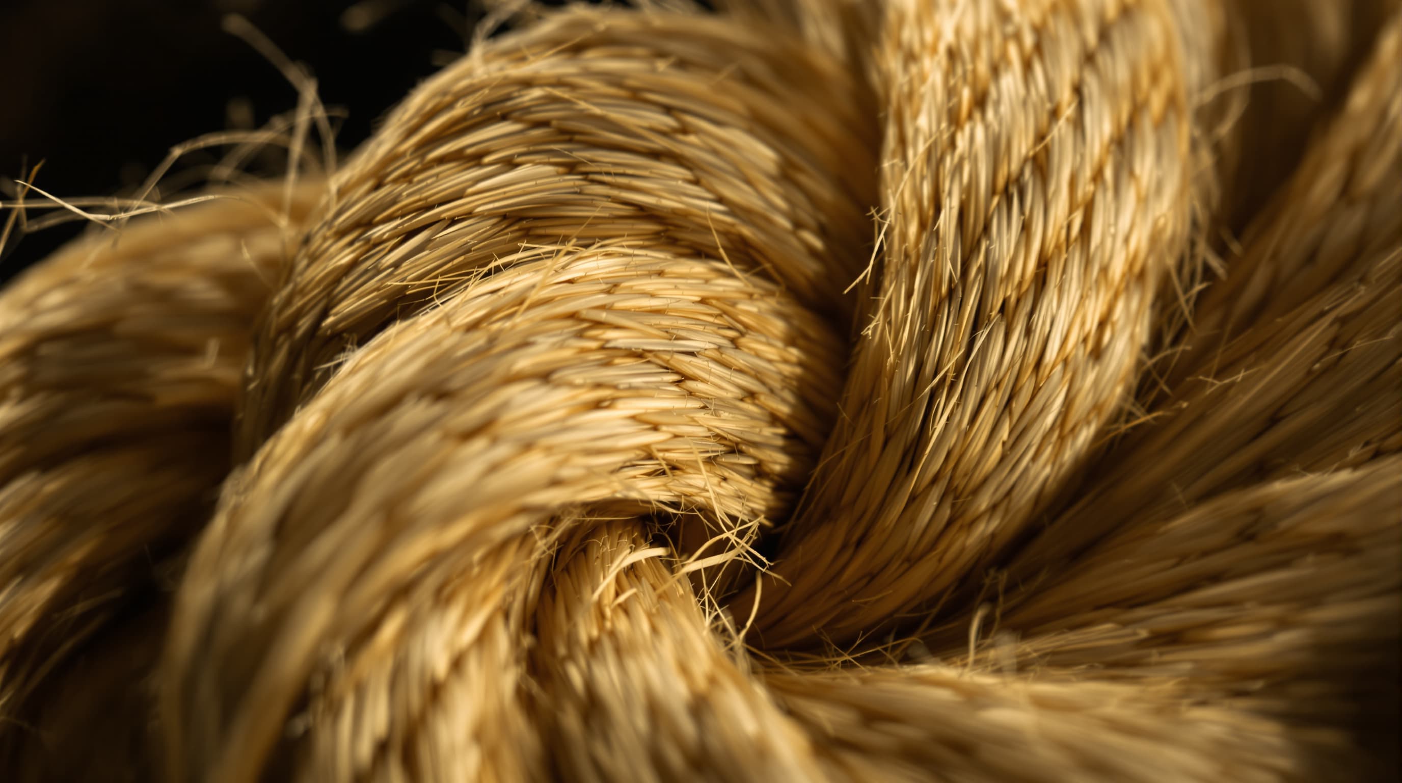 Macro of three-strand hand-laid hemp rope showing helix twist