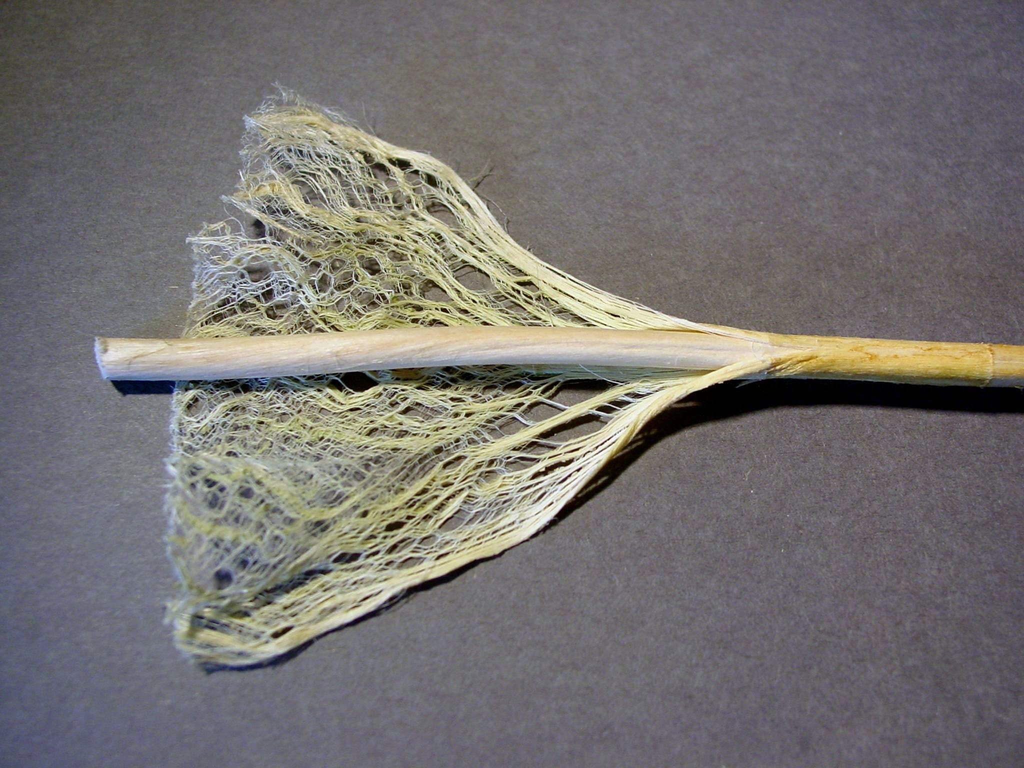Hemp stalks — substrate of the first paper