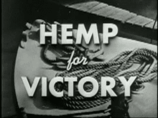 Hemp for Victory, USDA, 1942 — film still